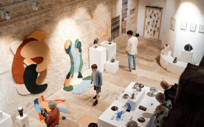 Que faire dans le Béarn quand il pleut : activité à faire à Pau en famille