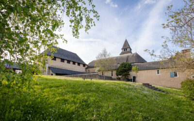 Nos animations estivales